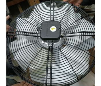 Fan